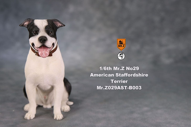 1/6 Mr.Z No.29 American Staffordshire Terrier Dog Simulation Animal Model Toy for Action Figure Doll Decoration Souvenir Gifts 1/6 Mr.Z No.29 American Staffordshire Terrier Dog Simulation Animal Model Toy for Action Figure Doll Decoration Souvenir Gifts