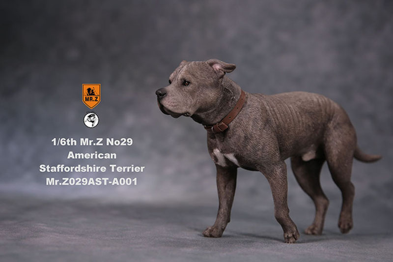 1/6 Mr.Z No.29 American Staffordshire Terrier Dog Simulation Animal Model Toy for Action Figure Doll Decoration Souvenir Gifts 1/6 Mr.Z No.29 American Staffordshire Terrier Dog Simulation Animal Model Toy for Action Figure Doll Decoration Souvenir Gifts