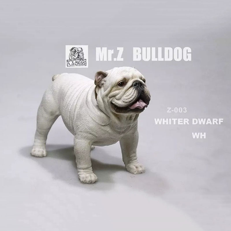 Mr.Z 11CM 1/6 Simulation Animal Dog English Bulldog Model Toy Kids Gifts F 12