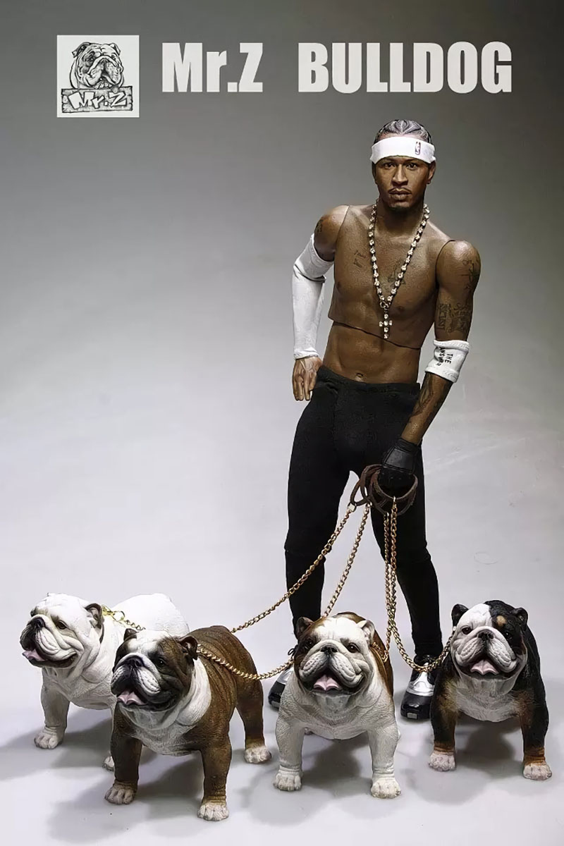 Mr.Z 11CM 1/6 Simulation Animal Dog English Bulldog Model Toy Kids Gifts F 12