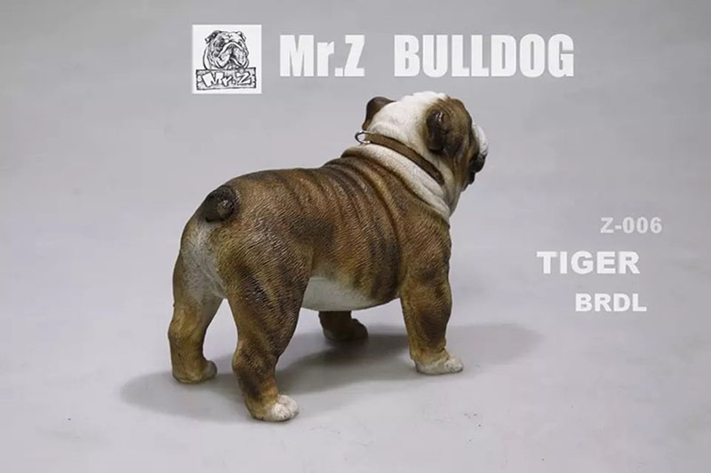 Mr.Z 11CM 1/6 Simulation Animal Dog English Bulldog Model Toy Kids Gifts F 12