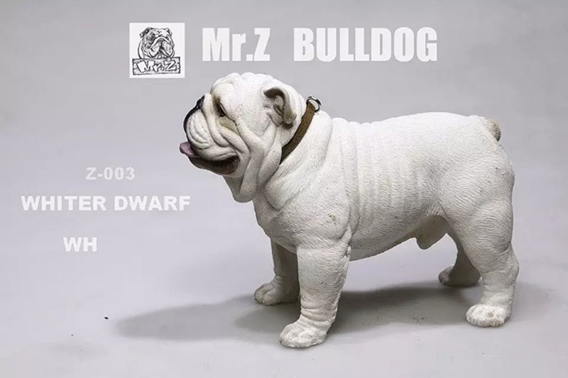 Mr.Z 11CM 1/6 Simulation Animal Dog English Bulldog Model Toy Kids Gifts F 12