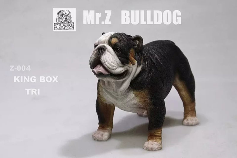 Mr.Z 11CM 1/6 Simulation Animal Dog English Bulldog Model Toy Kids Gifts F 12