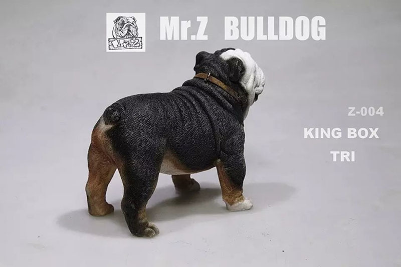 Mr.Z 11CM 1/6 Simulation Animal Dog English Bulldog Model Toy Kids Gifts F 12
