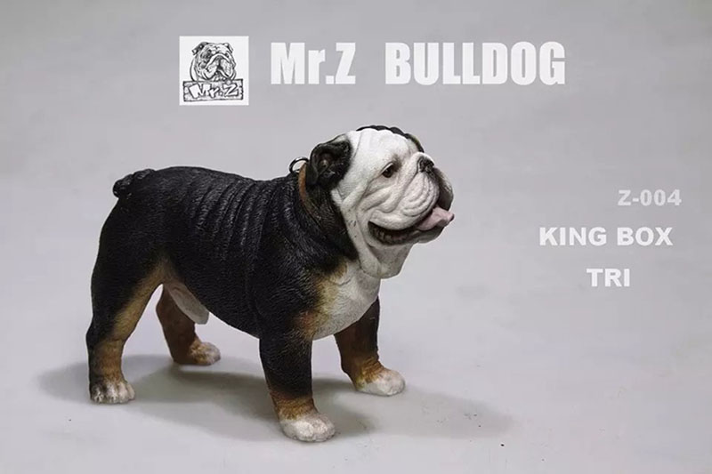 Mr.Z 11CM 1/6 Simulation Animal Dog English Bulldog Model Toy Kids Gifts F 12