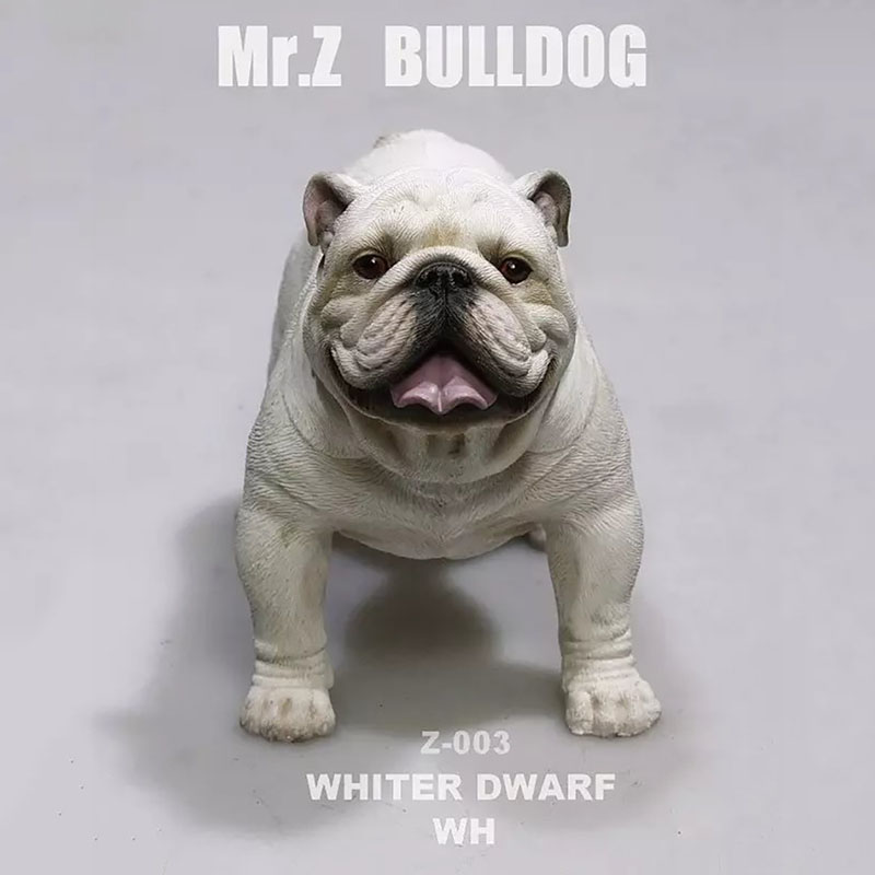 Mr.Z 11CM 1/6 Simulation Animal Dog English Bulldog Model Toy Kids Gifts F 12