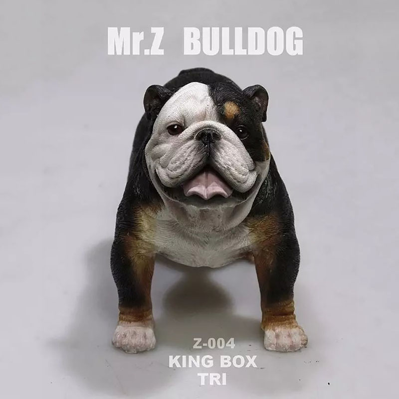 Mr.Z 11CM 1/6 Simulation Animal Dog English Bulldog Model Toy Kids Gifts F 12