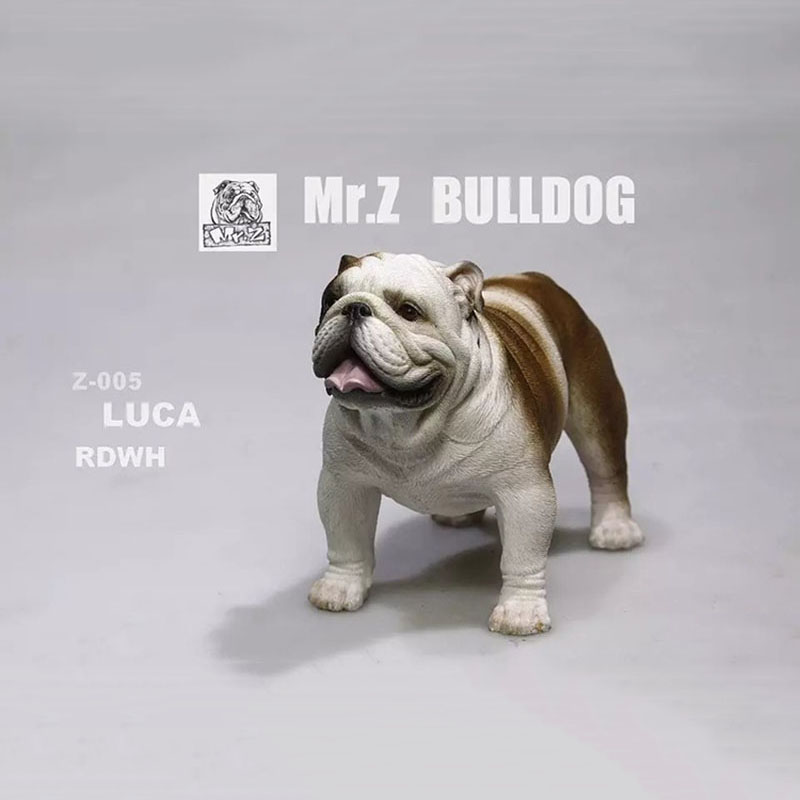Mr.Z 11CM 1/6 Simulation Animal Dog English Bulldog Model Toy Kids Gifts F 12