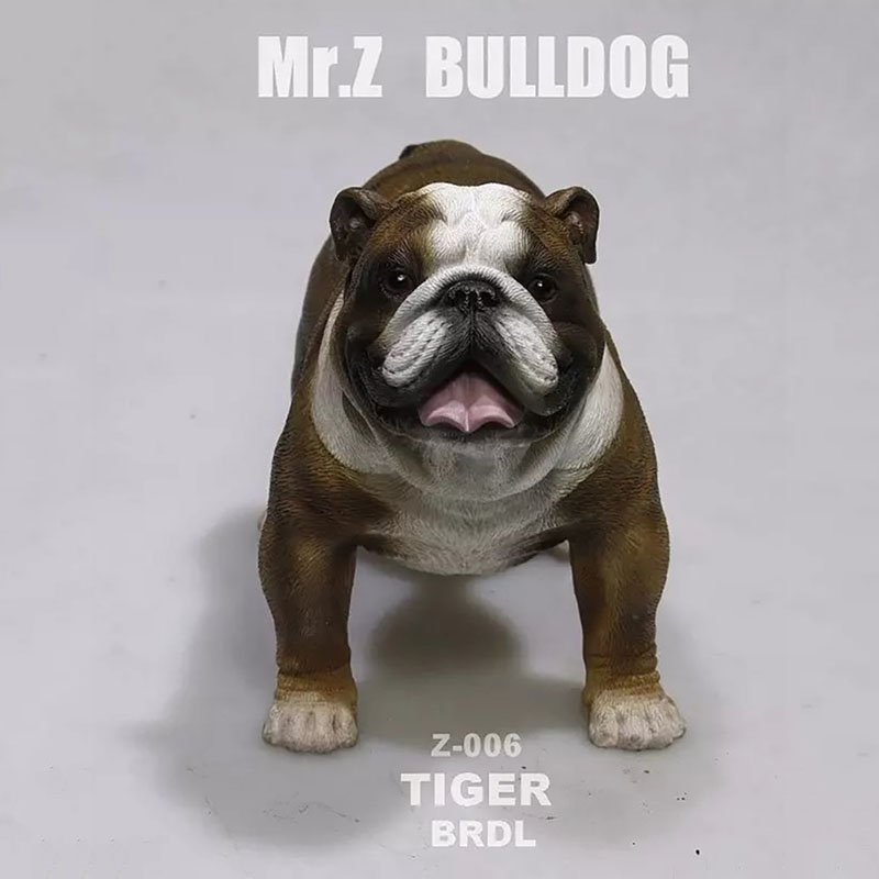 Mr.Z 11CM 1/6 Simulation Animal Dog English Bulldog Model Toy Kids Gifts F 12