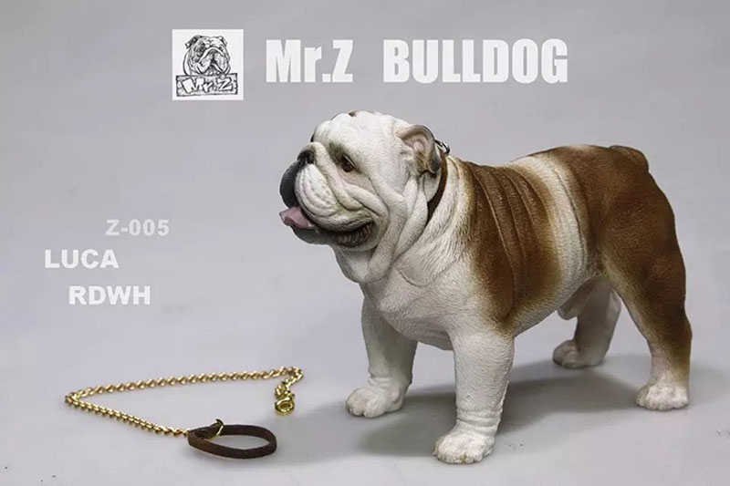 Mr.Z 11CM 1/6 Simulation Animal Dog English Bulldog Model Toy Kids Gifts F 12