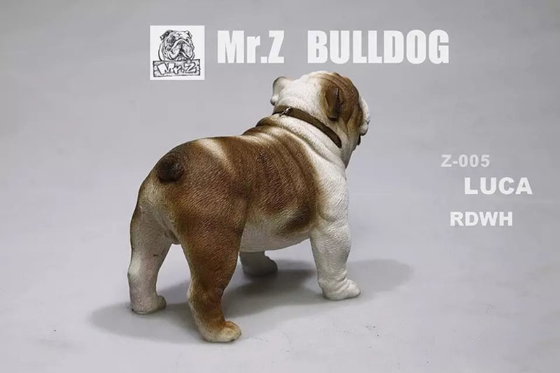 Mr.Z 11CM 1/6 Simulation Animal Dog English Bulldog Model Toy Kids Gifts F 12