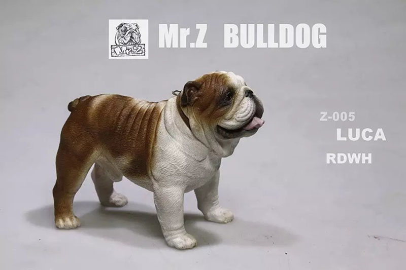 Mr.Z 11CM 1/6 Simulation Animal Dog English Bulldog Model Toy Kids Gifts F 12