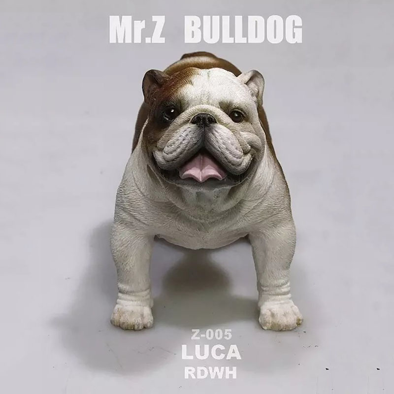 Mr.Z 11CM 1/6 Simulation Animal Dog English Bulldog Model Toy Kids Gifts F 12