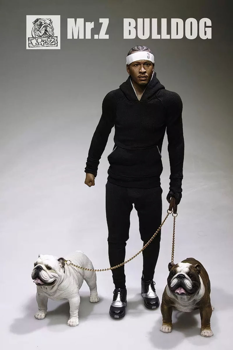 Mr.Z 11CM 1/6 Simulation Animal Dog English Bulldog Model Toy Kids Gifts F 12