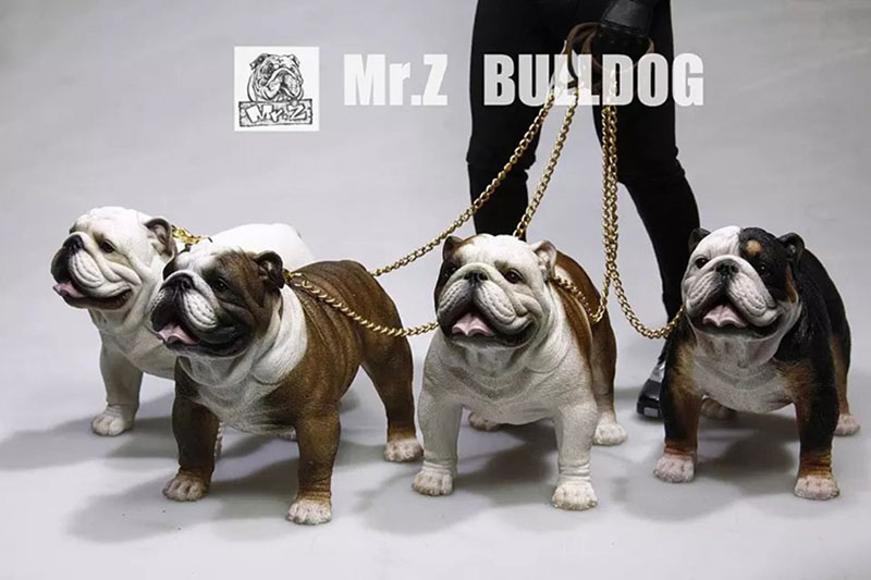 Mr.Z 11CM 1/6 Simulation Animal Dog English Bulldog Model Toy Kids Gifts F 12