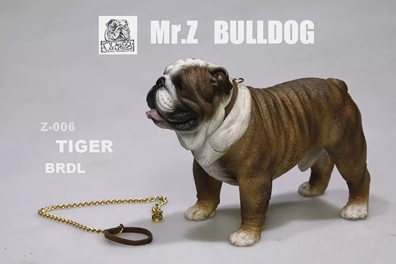 Mr.Z 11CM 1/6 Simulation Animal Dog English Bulldog Model Toy Kids Gifts F 12