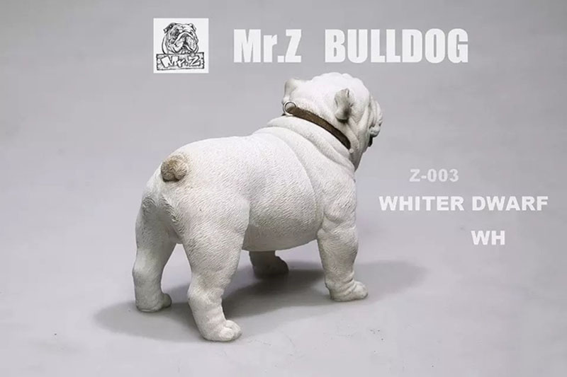 Mr.Z 11CM 1/6 Simulation Animal Dog English Bulldog Model Toy Kids Gifts F 12
