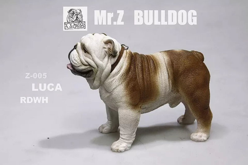 Mr.Z 11CM 1/6 Simulation Animal Dog English Bulldog Model Toy Kids Gifts F 12