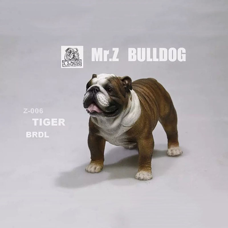 Mr.Z 11CM 1/6 Simulation Animal Dog English Bulldog Model Toy Kids Gifts F 12