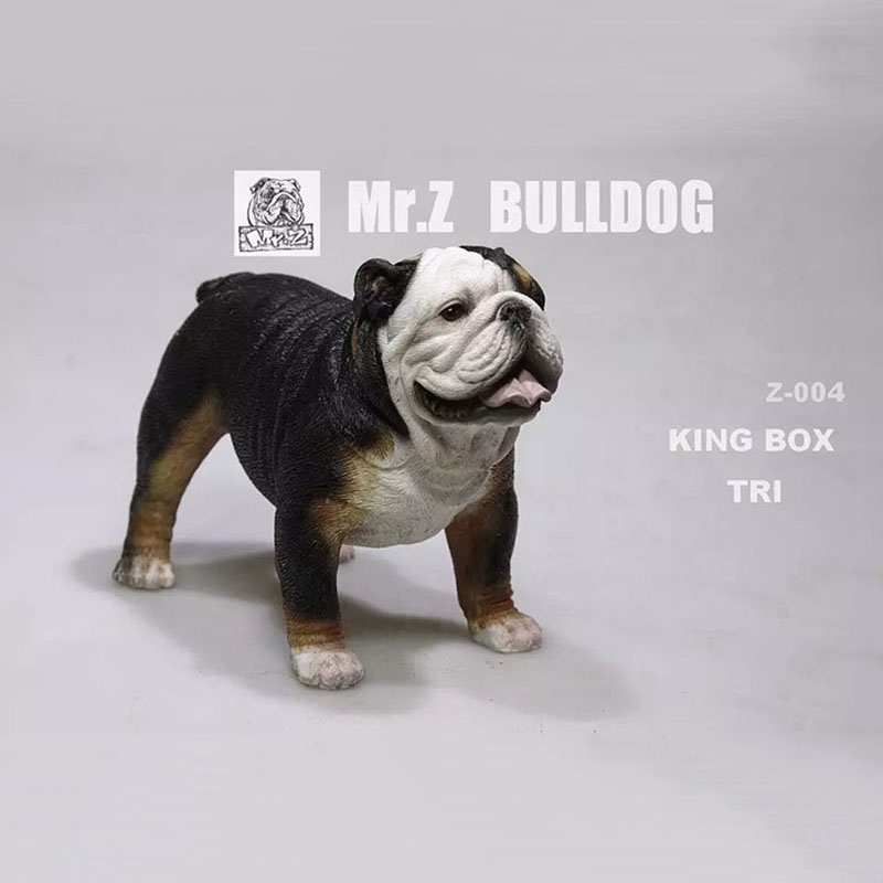 Mr.Z 11CM 1/6 Simulation Animal Dog English Bulldog Model Toy Kids Gifts F 12