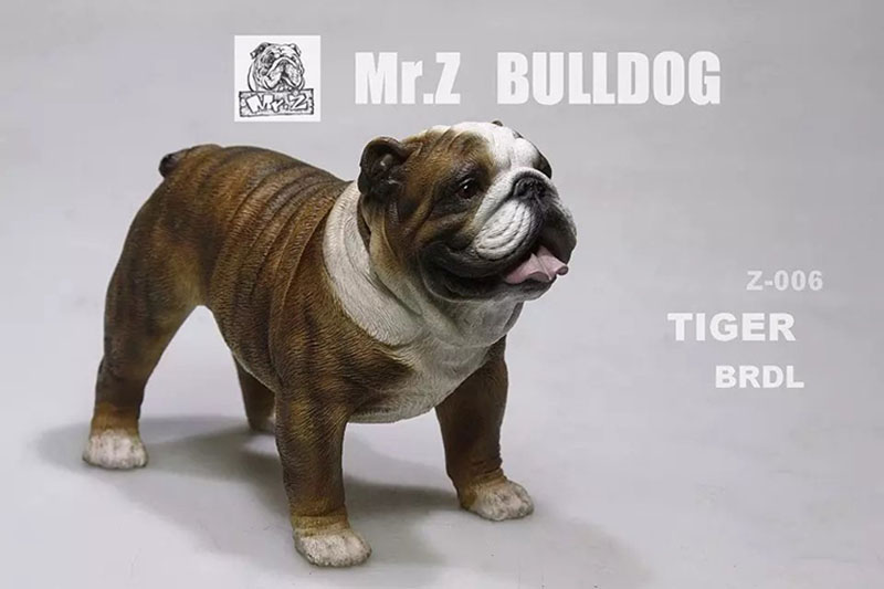 Mr.Z 11CM 1/6 Simulation Animal Dog English Bulldog Model Toy Kids Gifts F 12