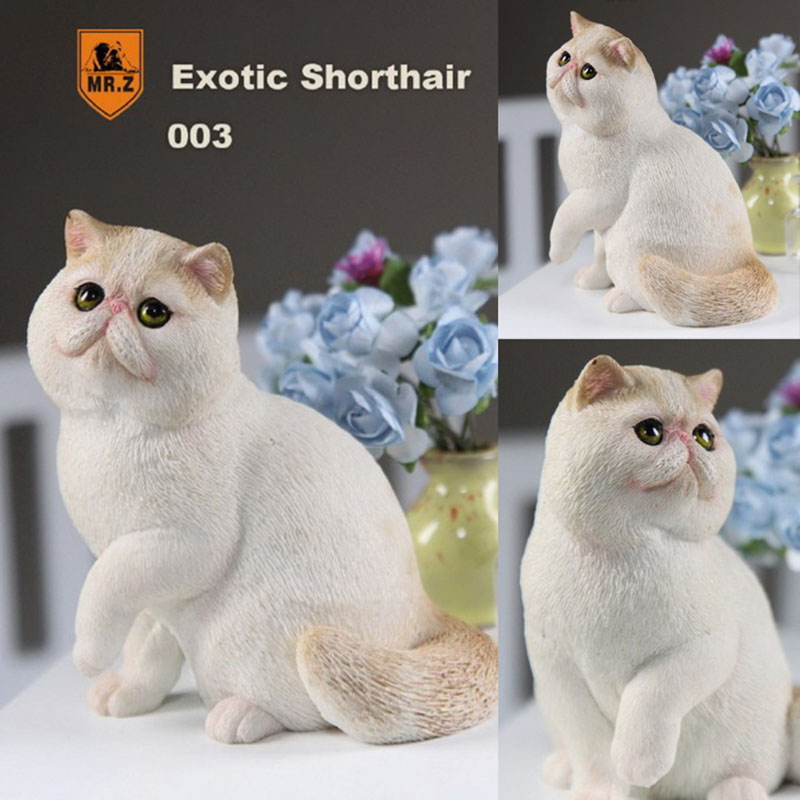 Mr.Z 1/6 Fat Cat Exotic Shorthair Pet Cat Simulator Animal Model Toy for 12
