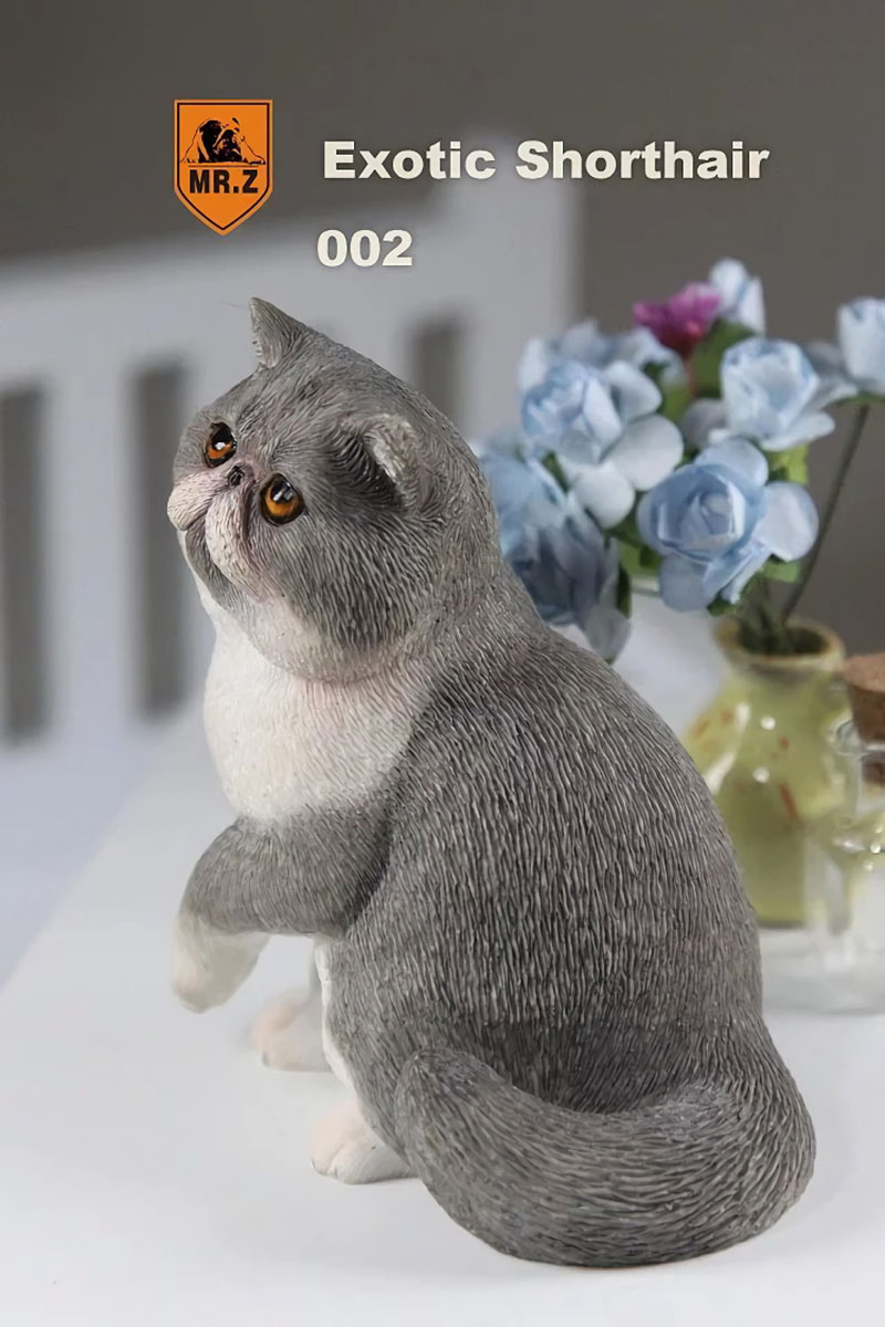 Mr.Z 1/6 Fat Cat Exotic Shorthair Pet Cat Simulator Animal Model Toy for 12