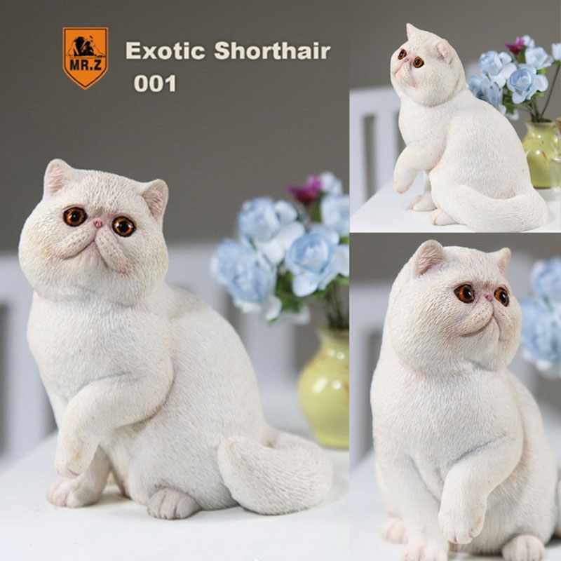 Mr.Z 1/6 Fat Cat Exotic Shorthair Pet Cat Simulator Animal Model Toy for 12