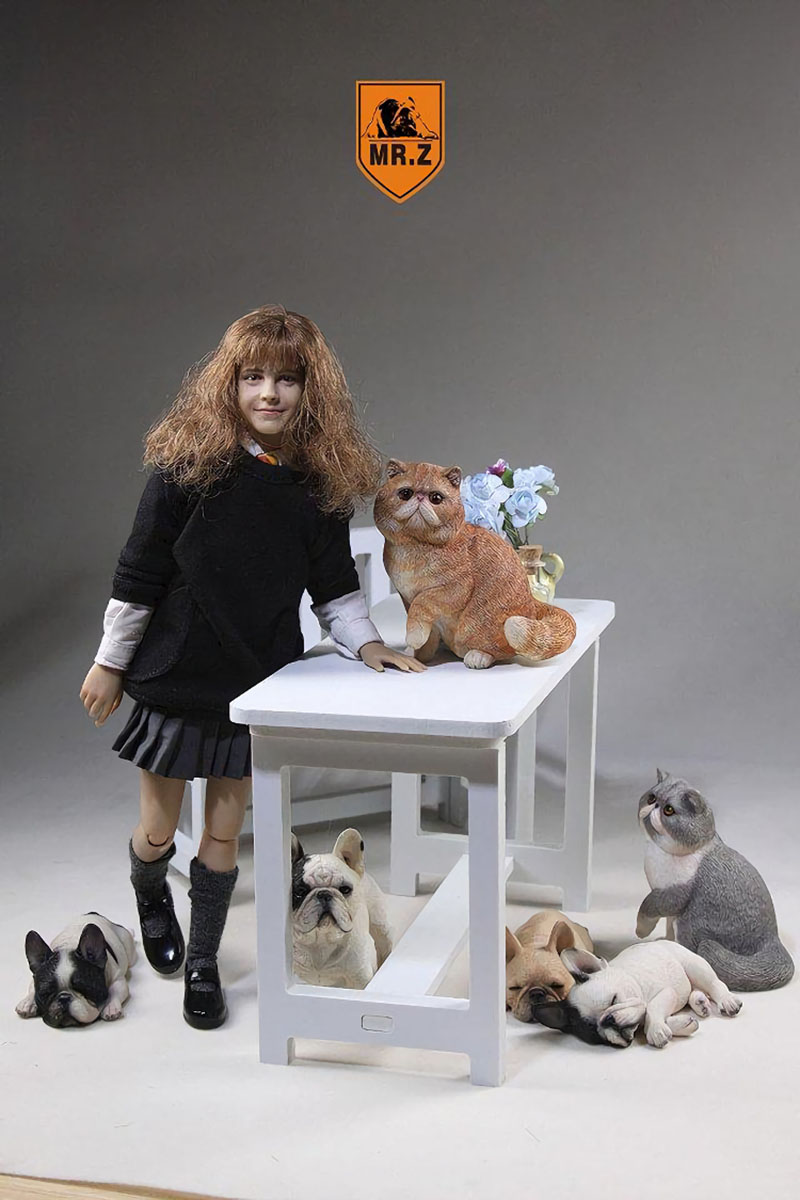 Mr.Z 1/6 Fat Cat Exotic Shorthair Pet Cat Simulator Animal Model Toy for 12