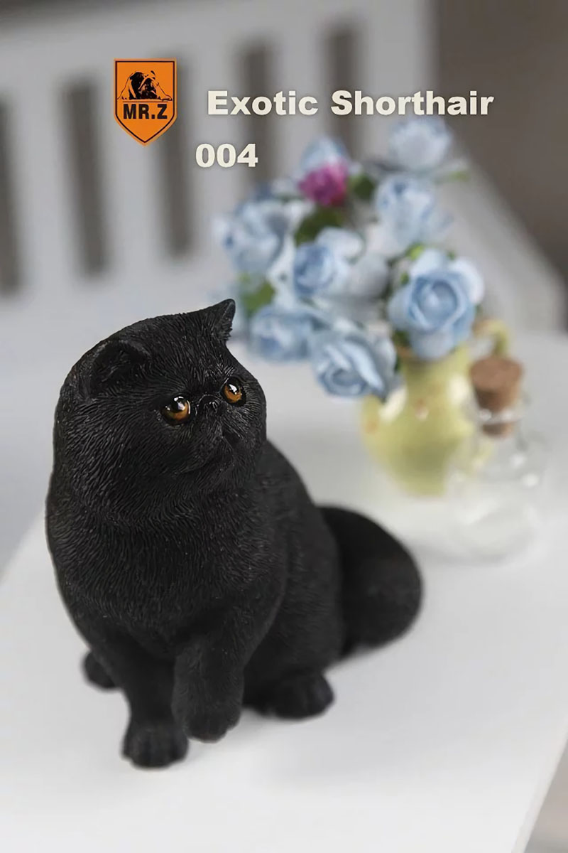 Mr.Z 1/6 Fat Cat Exotic Shorthair Pet Cat Simulator Animal Model Toy for 12