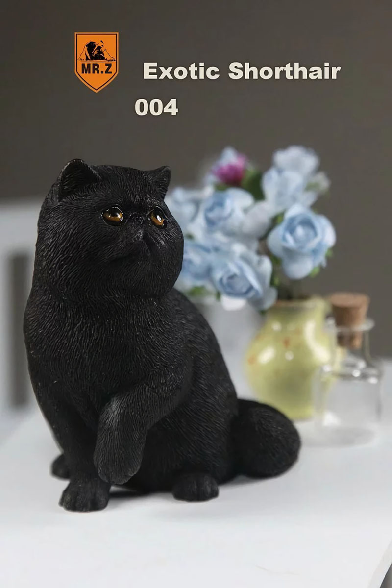 Mr.Z 1/6 Fat Cat Exotic Shorthair Pet Cat Simulator Animal Model Toy for 12