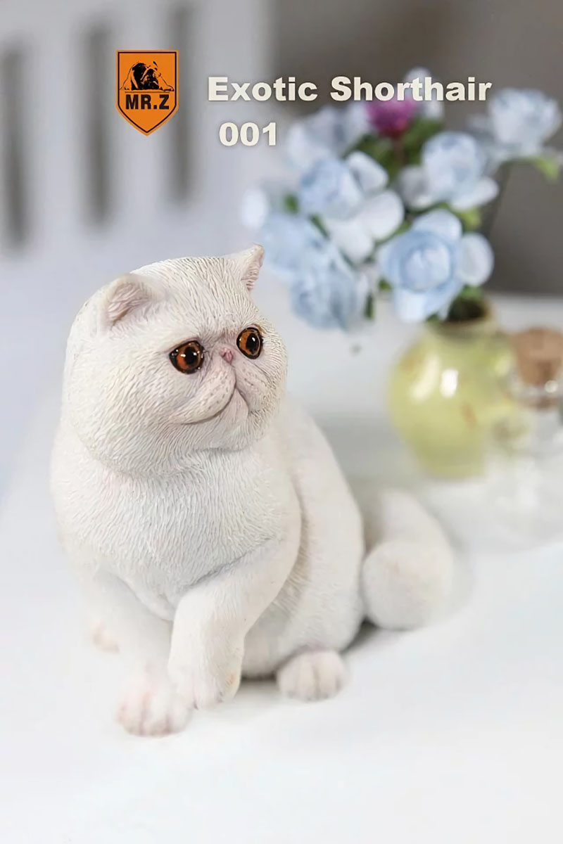 Mr.Z 1/6 Fat Cat Exotic Shorthair Pet Cat Simulator Animal Model Toy for 12