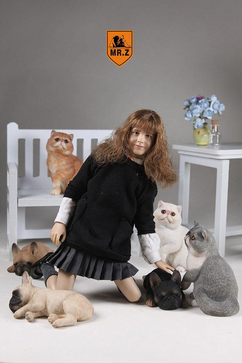 Mr.Z 1/6 Fat Cat Exotic Shorthair Pet Cat Simulator Animal Model Toy for 12