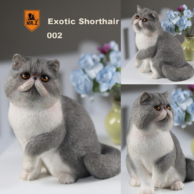 Mr.Z 1/6 Fat Cat Exotic Shorthair Pet Cat Simulator Animal Model Toy for 12