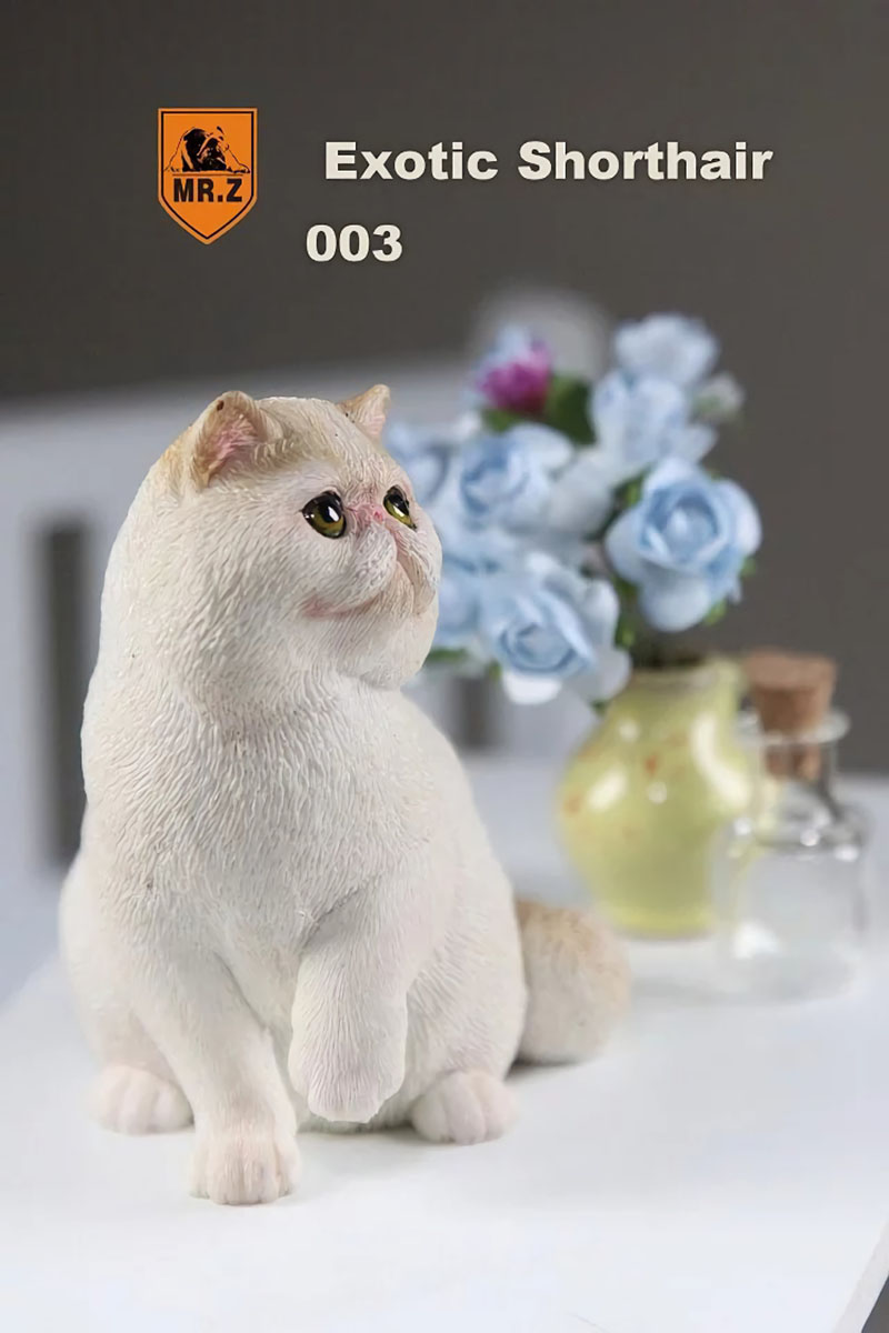 Mr.Z 1/6 Fat Cat Exotic Shorthair Pet Cat Simulator Animal Model Toy for 12