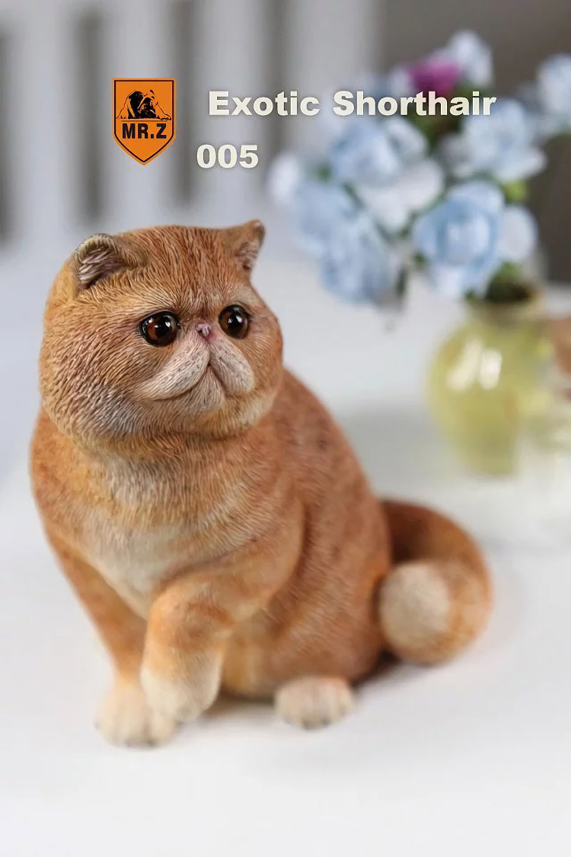 Mr.Z 1/6 Fat Cat Exotic Shorthair Pet Cat Simulator Animal Model Toy for 12