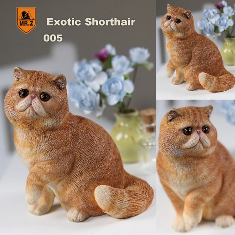 Mr.Z 1/6 Fat Cat Exotic Shorthair Pet Cat Simulator Animal Model Toy for 12