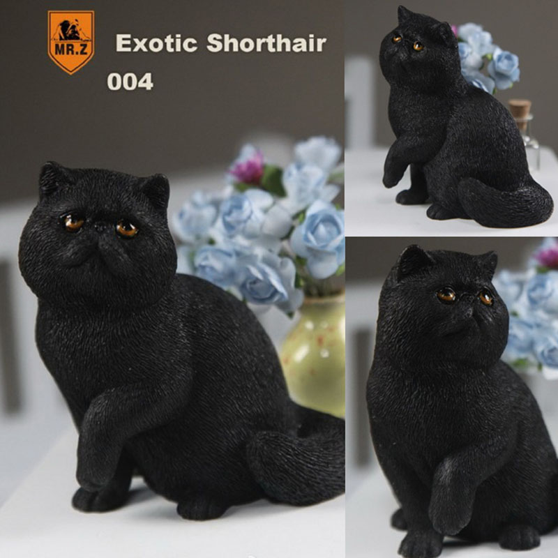 Mr.Z 1/6 Fat Cat Exotic Shorthair Pet Cat Simulator Animal Model Toy for 12