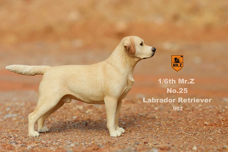 Mr.Z 24cm 1/6 Simulation Animal Standing Walking Pet Labrador Retriever Dog Model Toy Gift Model Car Scene Decoration Ornaments Mr.Z 24cm 1/6 Simulation Animal Standing Walking Pet Labrador Retriever Dog Model Toy Gift Model Car Scene Decoration Ornaments