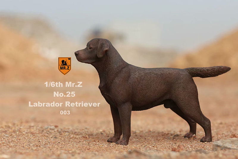 Mr.Z 24cm 1/6 Simulation Animal Standing Walking Pet Labrador Retriever Dog Model Toy Gift Model Car Scene Decoration Ornaments Mr.Z 24cm 1/6 Simulation Animal Standing Walking Pet Labrador Retriever Dog Model Toy Gift Model Car Scene Decoration Ornaments
