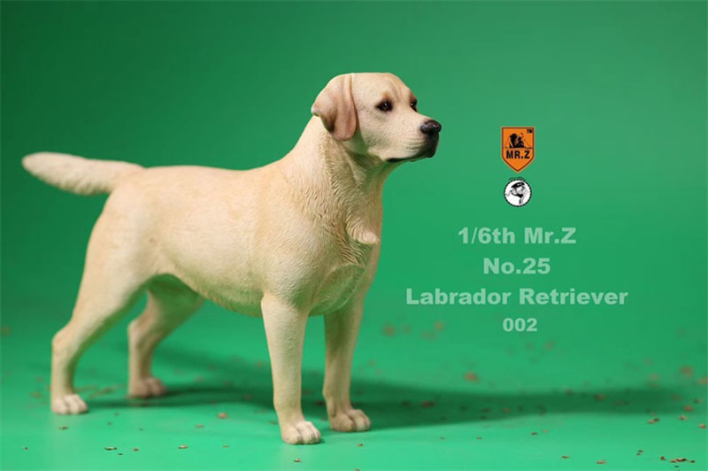 Mr.Z 24cm 1/6 Simulation Animal Standing Walking Pet Labrador Retriever Dog Model Toy Gift Model Car Scene Decoration Ornaments Mr.Z 24cm 1/6 Simulation Animal Standing Walking Pet Labrador Retriever Dog Model Toy Gift Model Car Scene Decoration Ornaments