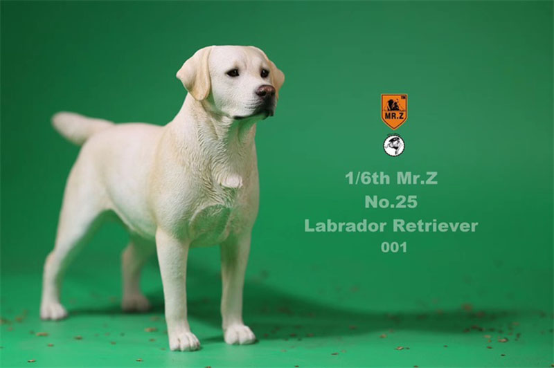 Mr.Z 24cm 1/6 Simulation Animal Standing Walking Pet Labrador Retriever Dog Model Toy Gift Model Car Scene Decoration Ornaments Mr.Z 24cm 1/6 Simulation Animal Standing Walking Pet Labrador Retriever Dog Model Toy Gift Model Car Scene Decoration Ornaments