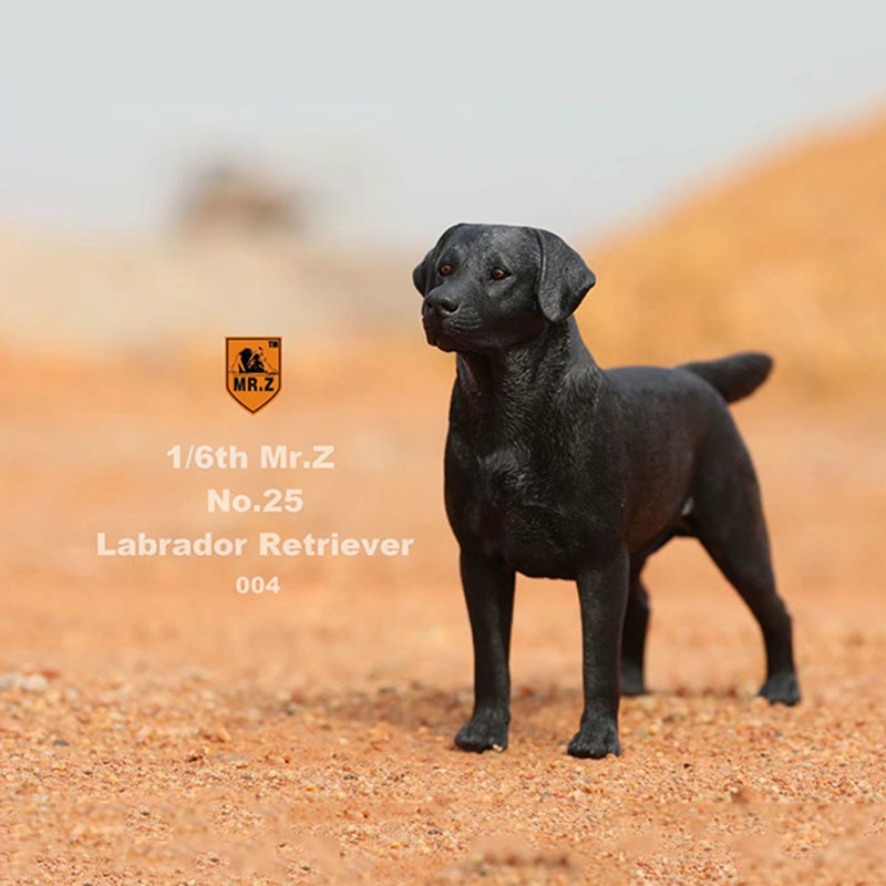 Mr.Z 24cm 1/6 Simulation Animal Standing Walking Pet Labrador Retriever Dog Model Toy Gift Model Car Scene Decoration Ornaments Mr.Z 24cm 1/6 Simulation Animal Standing Walking Pet Labrador Retriever Dog Model Toy Gift Model Car Scene Decoration Ornaments