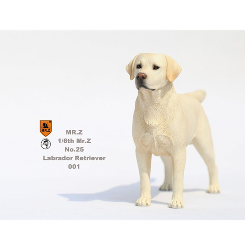 Mr.Z 24cm 1/6 Simulation Animal Standing Walking Pet Labrador Retriever Dog Model Toy Gift Model Car Scene Decoration Ornaments Mr.Z 24cm 1/6 Simulation Animal Standing Walking Pet Labrador Retriever Dog Model Toy Gift Model Car Scene Decoration Ornaments