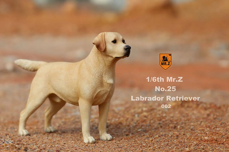 Mr.Z 24cm 1/6 Simulation Animal Standing Walking Pet Labrador Retriever Dog Model Toy Gift Model Car Scene Decoration Ornaments Mr.Z 24cm 1/6 Simulation Animal Standing Walking Pet Labrador Retriever Dog Model Toy Gift Model Car Scene Decoration Ornaments