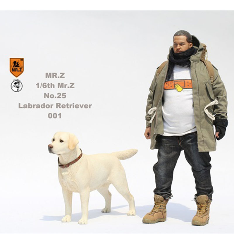 Mr.Z 24cm 1/6 Simulation Animal Standing Walking Pet Labrador Retriever Dog Model Toy Gift Model Car Scene Decoration Ornaments Mr.Z 24cm 1/6 Simulation Animal Standing Walking Pet Labrador Retriever Dog Model Toy Gift Model Car Scene Decoration Ornaments