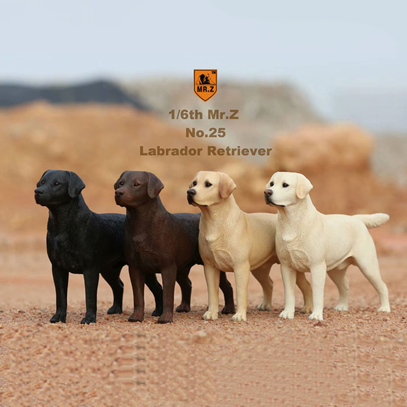 Mr.Z 24cm 1/6 Simulation Animal Standing Walking Pet Labrador Retriever Dog Model Toy Gift Model Car Scene Decoration Ornaments Mr.Z 24cm 1/6 Simulation Animal Standing Walking Pet Labrador Retriever Dog Model Toy Gift Model Car Scene Decoration Ornaments