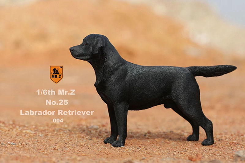 Mr.Z 24cm 1/6 Simulation Animal Standing Walking Pet Labrador Retriever Dog Model Toy Gift Model Car Scene Decoration Ornaments Mr.Z 24cm 1/6 Simulation Animal Standing Walking Pet Labrador Retriever Dog Model Toy Gift Model Car Scene Decoration Ornaments