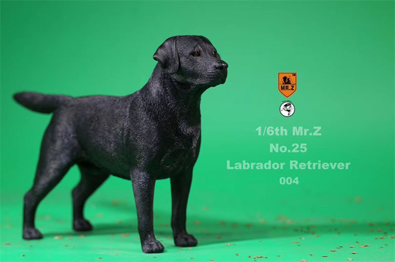 Mr.Z 24cm 1/6 Simulation Animal Standing Walking Pet Labrador Retriever Dog Model Toy Gift Model Car Scene Decoration Ornaments Mr.Z 24cm 1/6 Simulation Animal Standing Walking Pet Labrador Retriever Dog Model Toy Gift Model Car Scene Decoration Ornaments