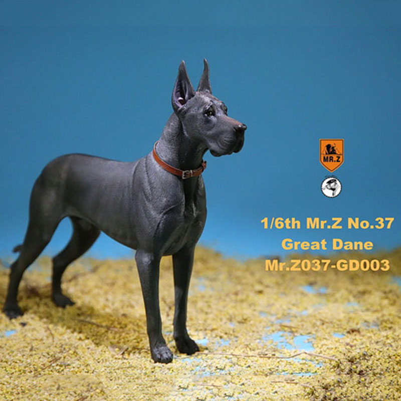Mr.Z 1/6 037-GD Resin PVC Miniature Animal Model Great Dane Dog Models Toy Fit 12 Mr.Z 1/6 037-GD Resin PVC Miniature Animal Model Great Dane Dog Models Toy Fit 12